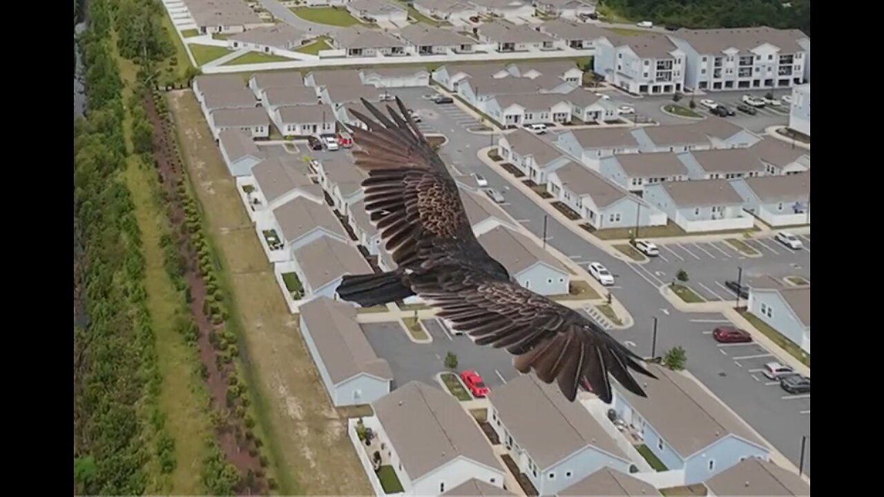🦅 You Ought To Be Having Fun - Tower of Power 🦅