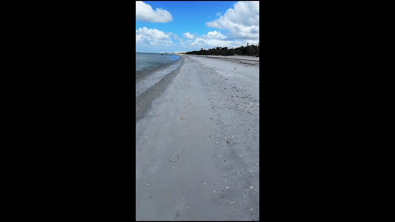 Livestream Highlight | Bucket List Caribbean Vase!