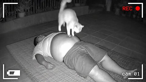 Animals GOING WILD & Becoming UNCONTROLLABLE – Caught on Camera! 😱🐾