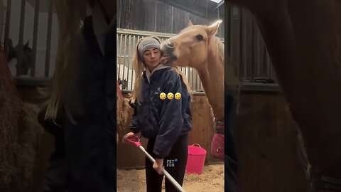 Animals Funny Compilation #funnyanimals #animals #pets #shorts