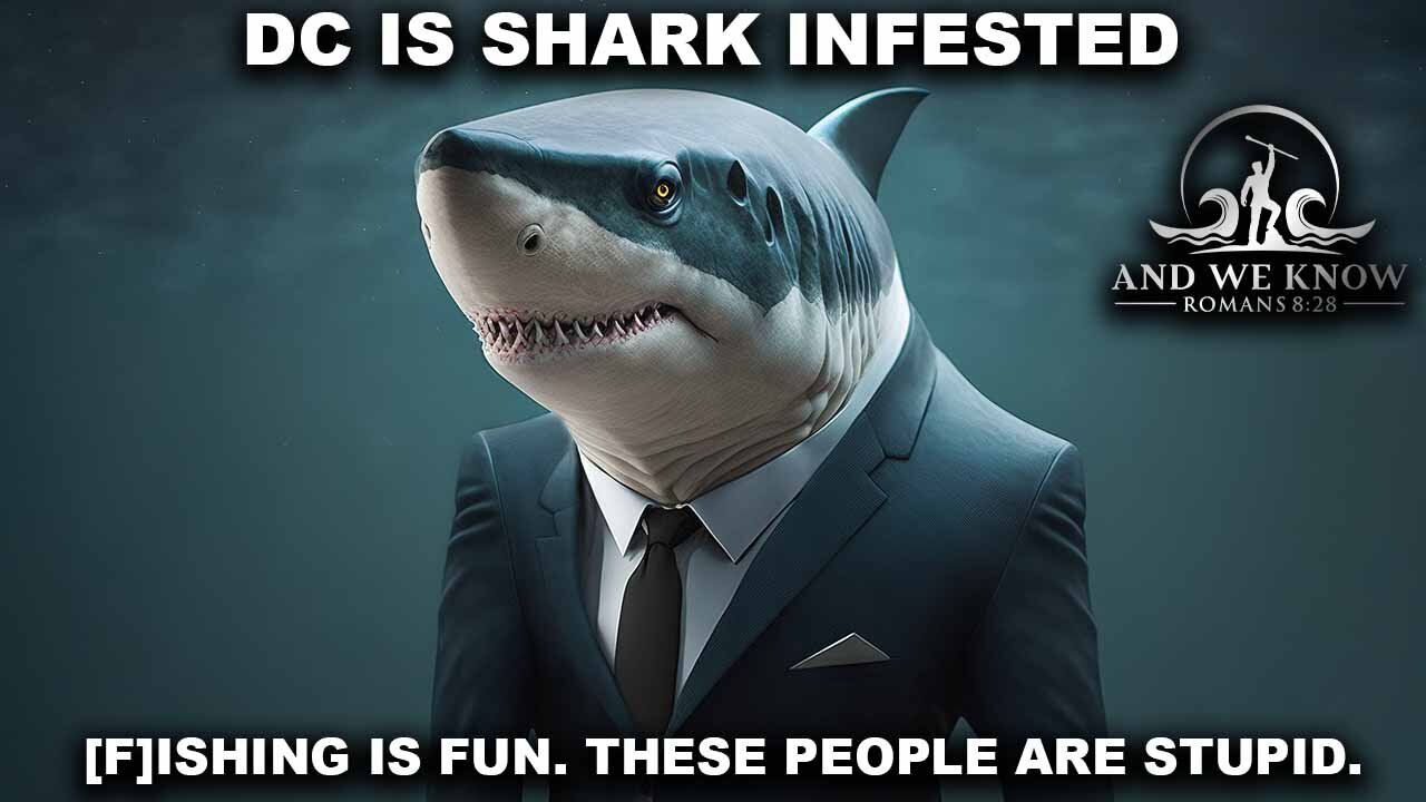 8.11.25: D.C. Filled with SHARKS, We CAUGHT [THEM] all, [F]ishing is FUN