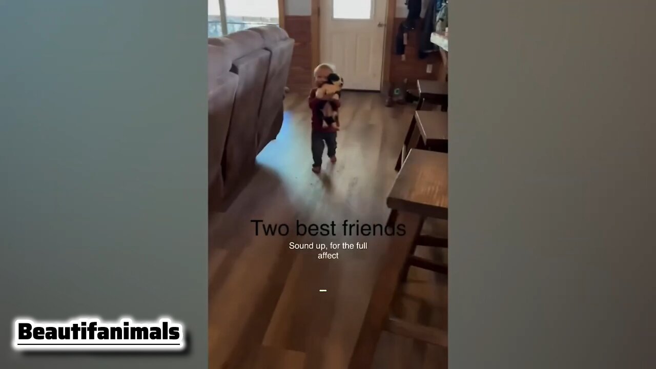 Playing with pets with children