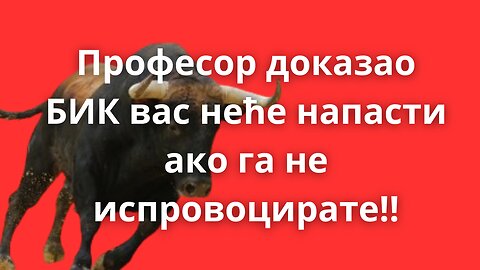 Професор доказао: Бик неће напасти људе ако га не испровоцирају!!!