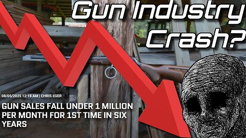 Can The Gun Industry Be Fixed?