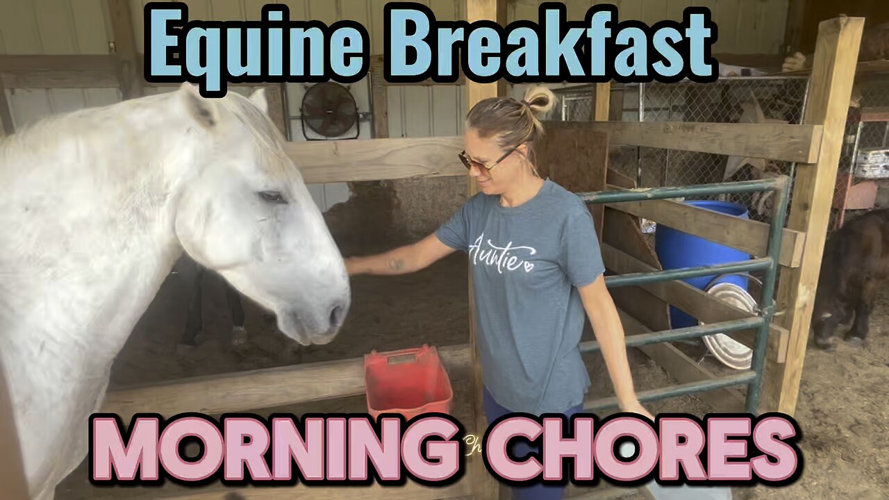 A small portion of our morning routine is feeding all the equines.