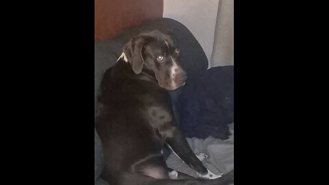 Seymore the sweet BIG BOY