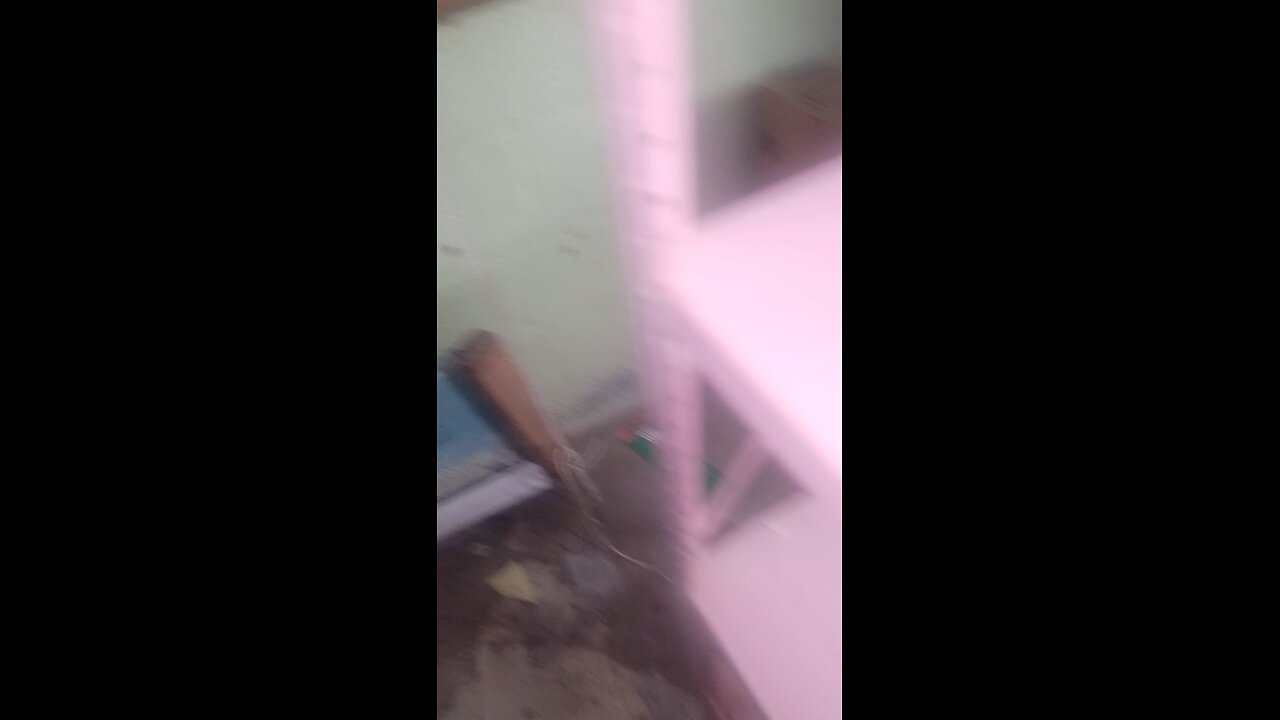 Nov 6th basement clean & organize