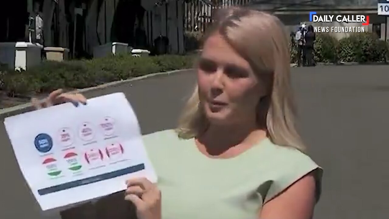Karoline Leavitt Slams Fake News Media with Tariff Receipts