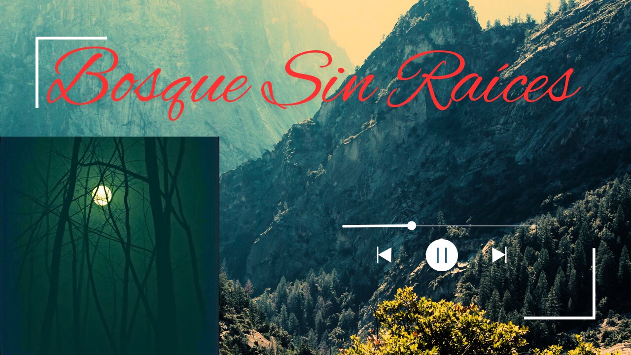 Bosque Sin Raíces