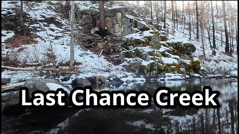 Exploring Last Chance Creek - Hiking Forest