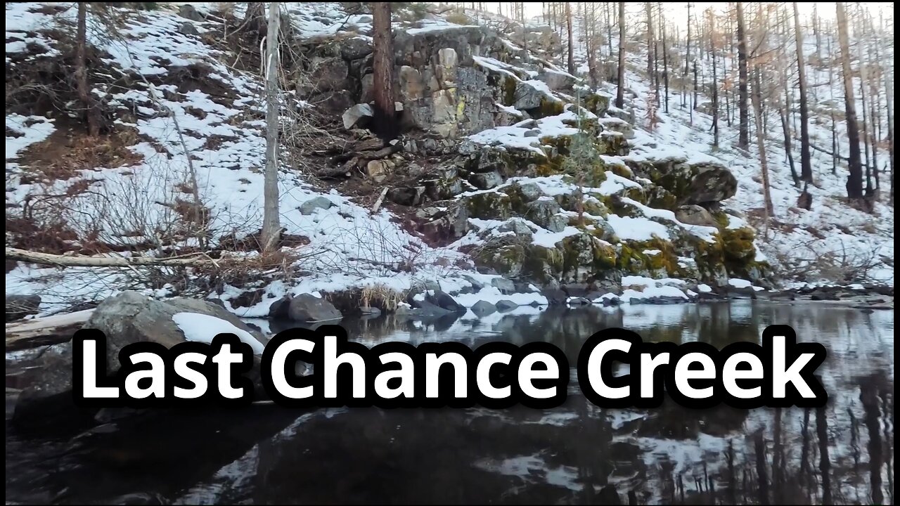 Exploring Last Chance Creek - Hiking Forest