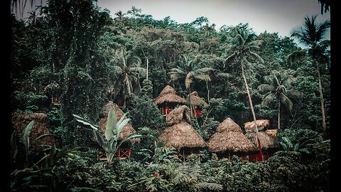 #78: Isolated Tribes & Layoffs