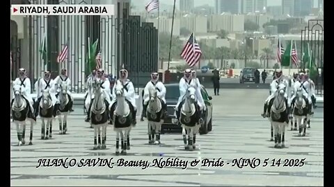 JUAN O SAVIN- Beauty, Nobility and Pride - NINO 5 14 2025