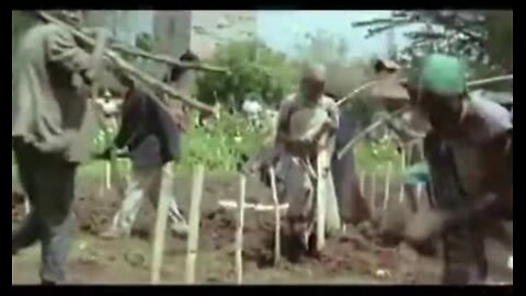 Africa is a Shithole Because Whites Arrived on the Continent and Also Because Whites Left