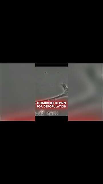 Alex Jones: The Globalists Are Dumbing Everyone Down To Depopulate - 9/15/2010