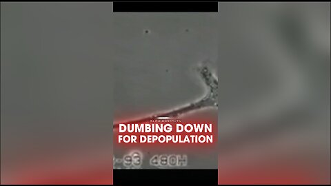 Alex Jones: The Globalists Are Dumbing Everyone Down To Depopulate - 9/15/2010