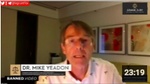 "Ex-Pfizer VP Claims Global Conspiracy Behind COVID-19 Vaccination Program"