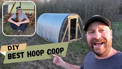 Best DIY Chicken Tractor? We Built This Mobile Coop & Moved 100 Birds!