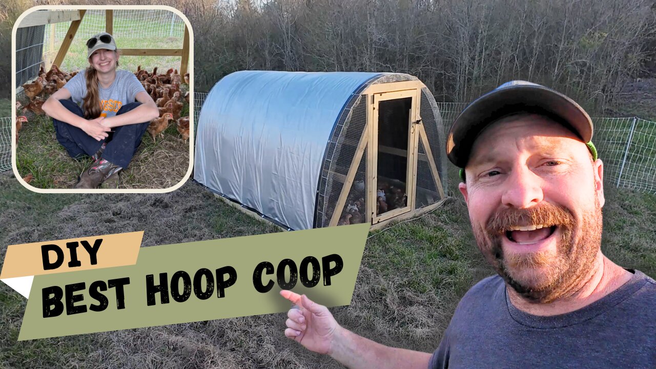 Best DIY Chicken Tractor? We Built This Mobile Coop & Moved 100 Birds!