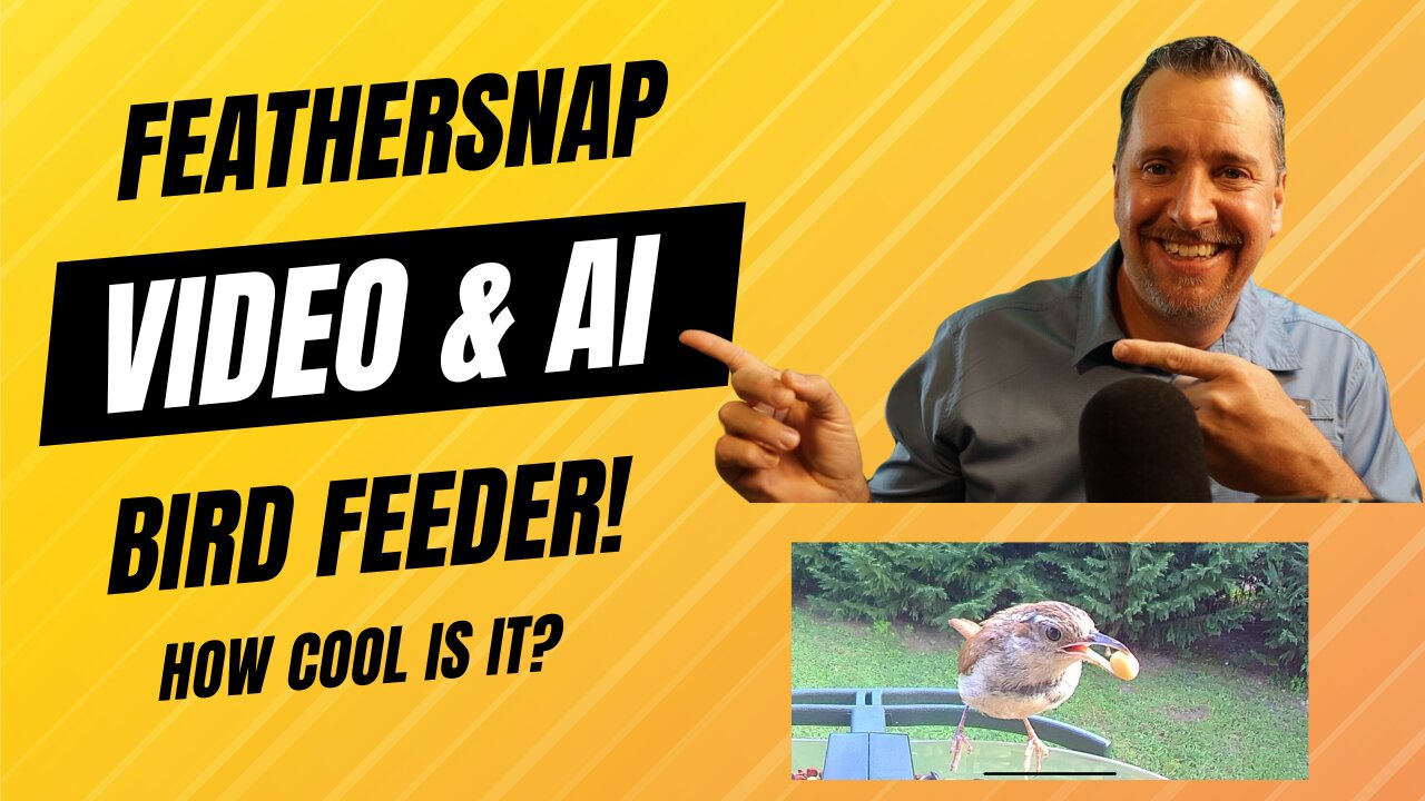 FeatherSnap Bird Feeder: See Birds Like Never Before! 🐦📸