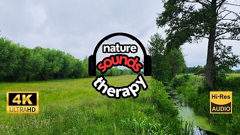 Sounds of the Meadow; Crickets and Birds ¦ Relaxing ASMR Sounds for Calming Down