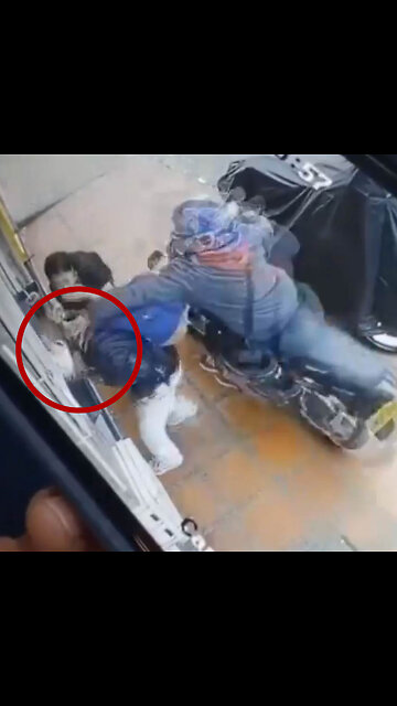 Intenta robar la gorra de un joven en Colombia y esto es lo que sucede
