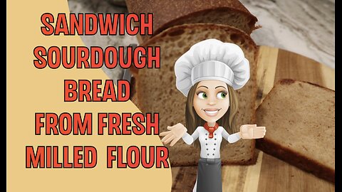 One Day Sandwich Sourdough with Fresh Milled Flour