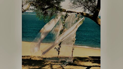 辽宁, 济技术开发区七号路