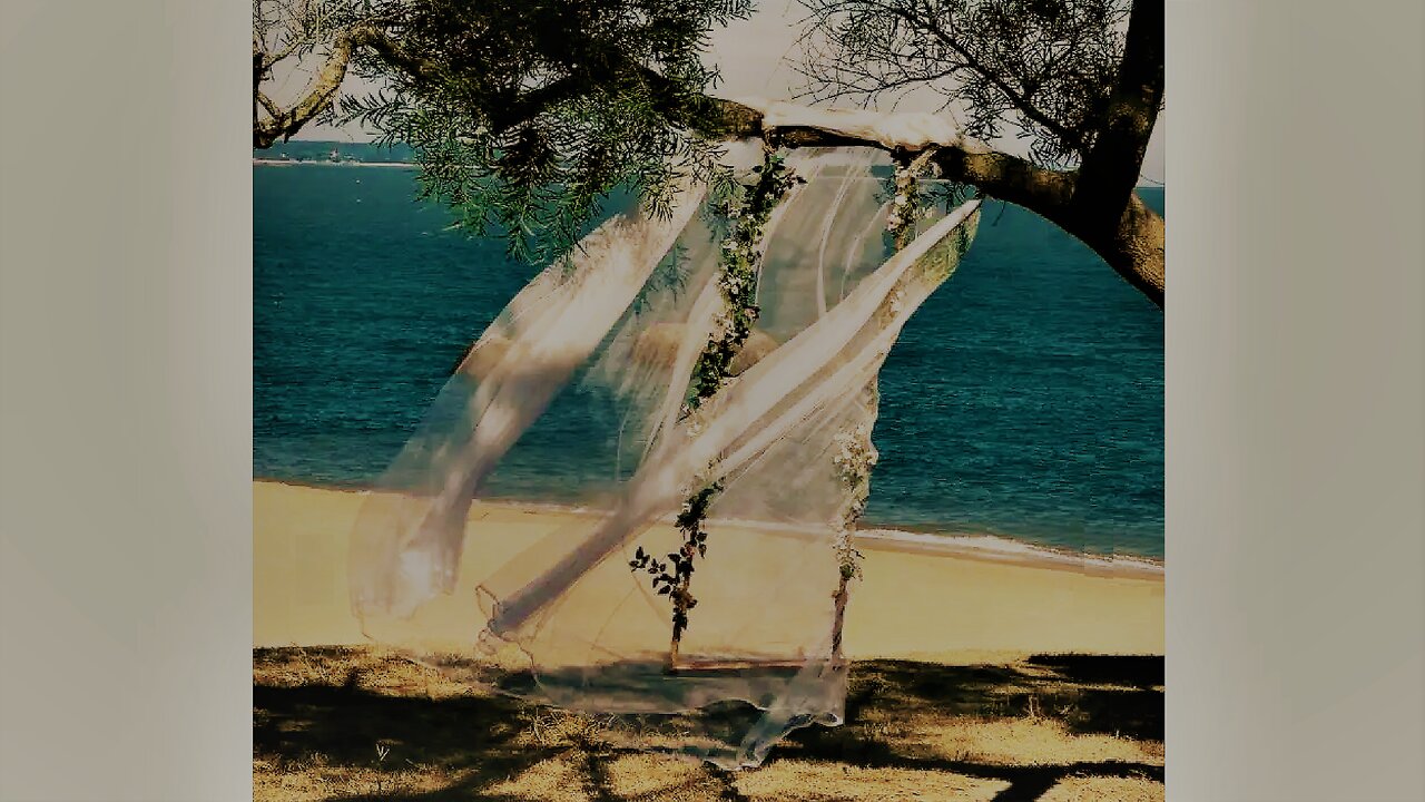 辽宁, 济技术开发区七号路