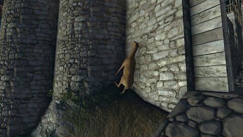 Deer Trying to Become a Skyrim Horse