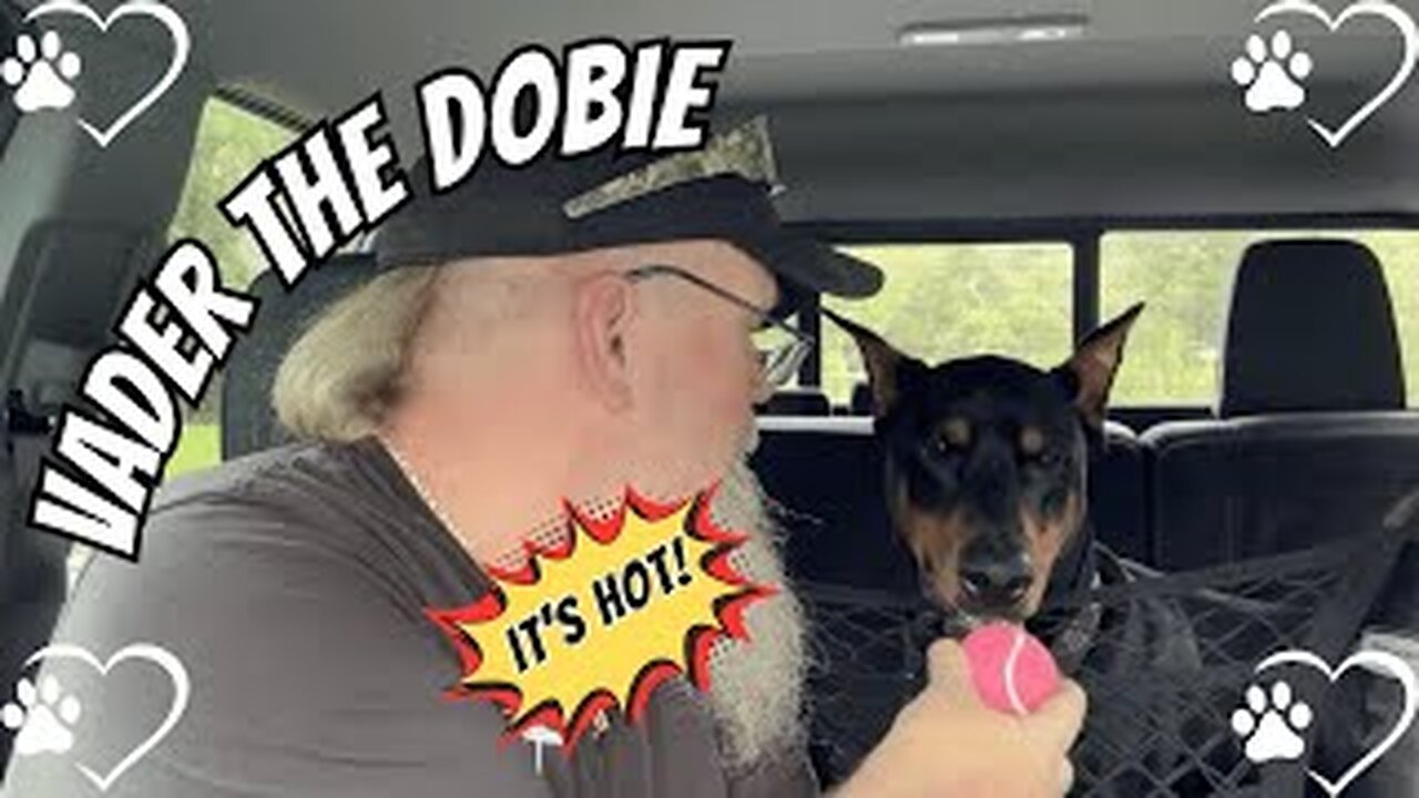 Truck Talk & Fetch Time with Vader the Dobie 🐾🔥🚚 (Replay)