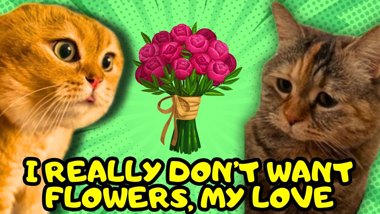When a Cat's Girlfriend Doesn't like Flowers (Cat Stories)