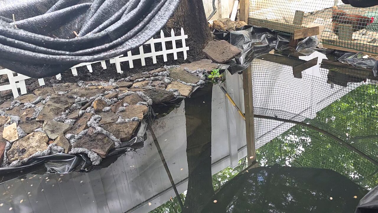 Koi Pond Progress