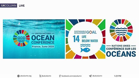 Making Money from the Sea Under the Guise of Sustainability - UK Column News