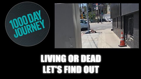 1000 Day Journey 0706 Living or Dead? Let's Find Out