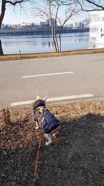 20260209. God made the world.