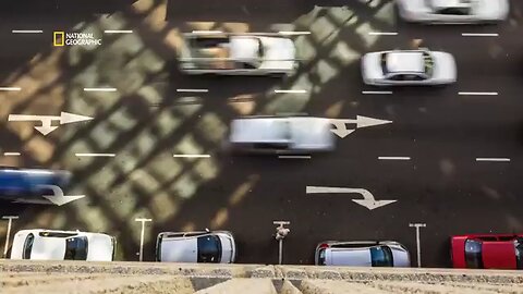 Wake_Up_Call___Snakes_in_the_City😳😱