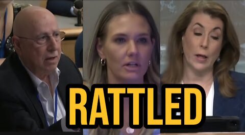 US official loses cool when asked about ambassador’s comments on Palestine