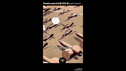 ناموس الصيف يستعد للحرب - Mosquito Army