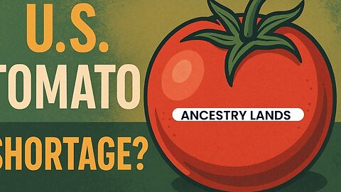 The Tomato Crisis: Why Your Salsa Just Got Expensive!