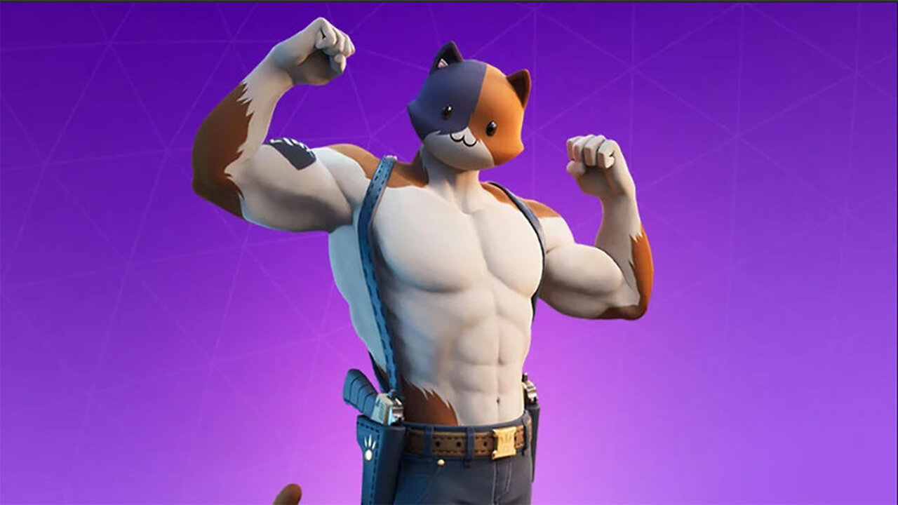 haven't played this in a fornite