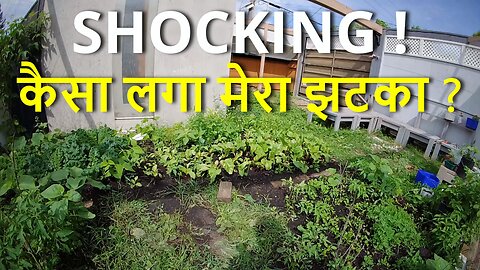 Get SHOCKED Get Known ! कैसा लगा मेरा झटका ? #canada #rawat #winnipeg #samraatbharat #sanatan