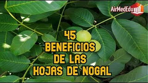 45 Beneficios de las Hojas de Nogal