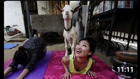 "Become the Greatest of All Time (GOAT) in Your Workplace!"