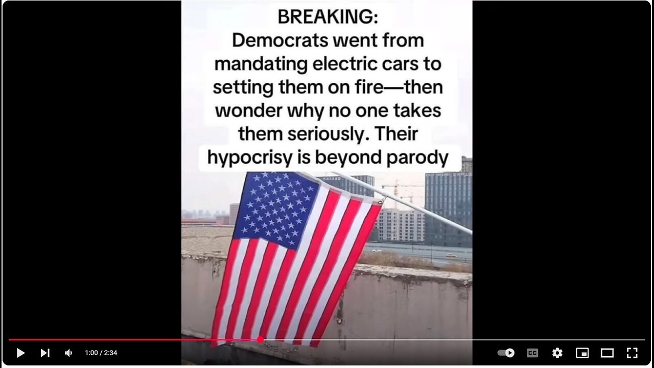 firebombing Tesla dealerships and attacking Tesla owners