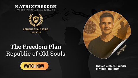 The Freedom Plan: Energy, Healing, and Sovereignty in the Republic of Old Souls