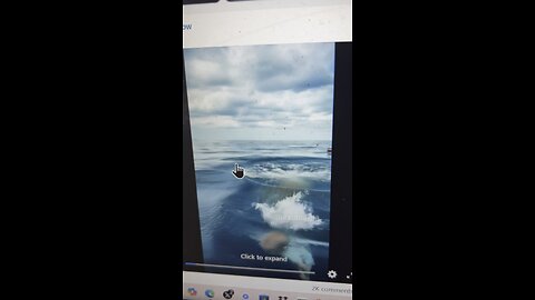 Amazing dog