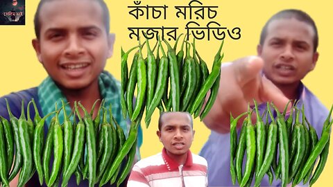 কাঁচা মরিচ মজার ভিডিও