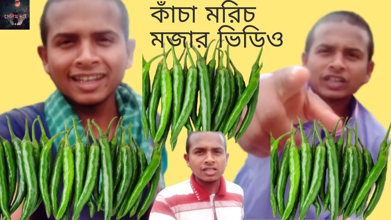 কাঁচা মরিচ মজার ভিডিও