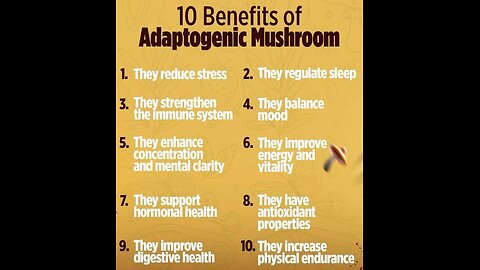 Vital Health Global Wellness Program Now Open In 63 Countries